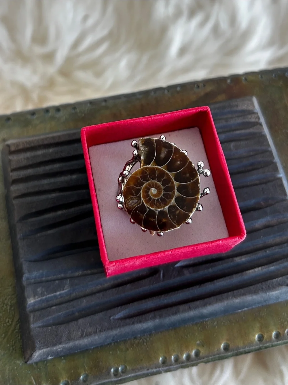 Handcrafted Brown Ammonite Shell Ring in Silver Setting